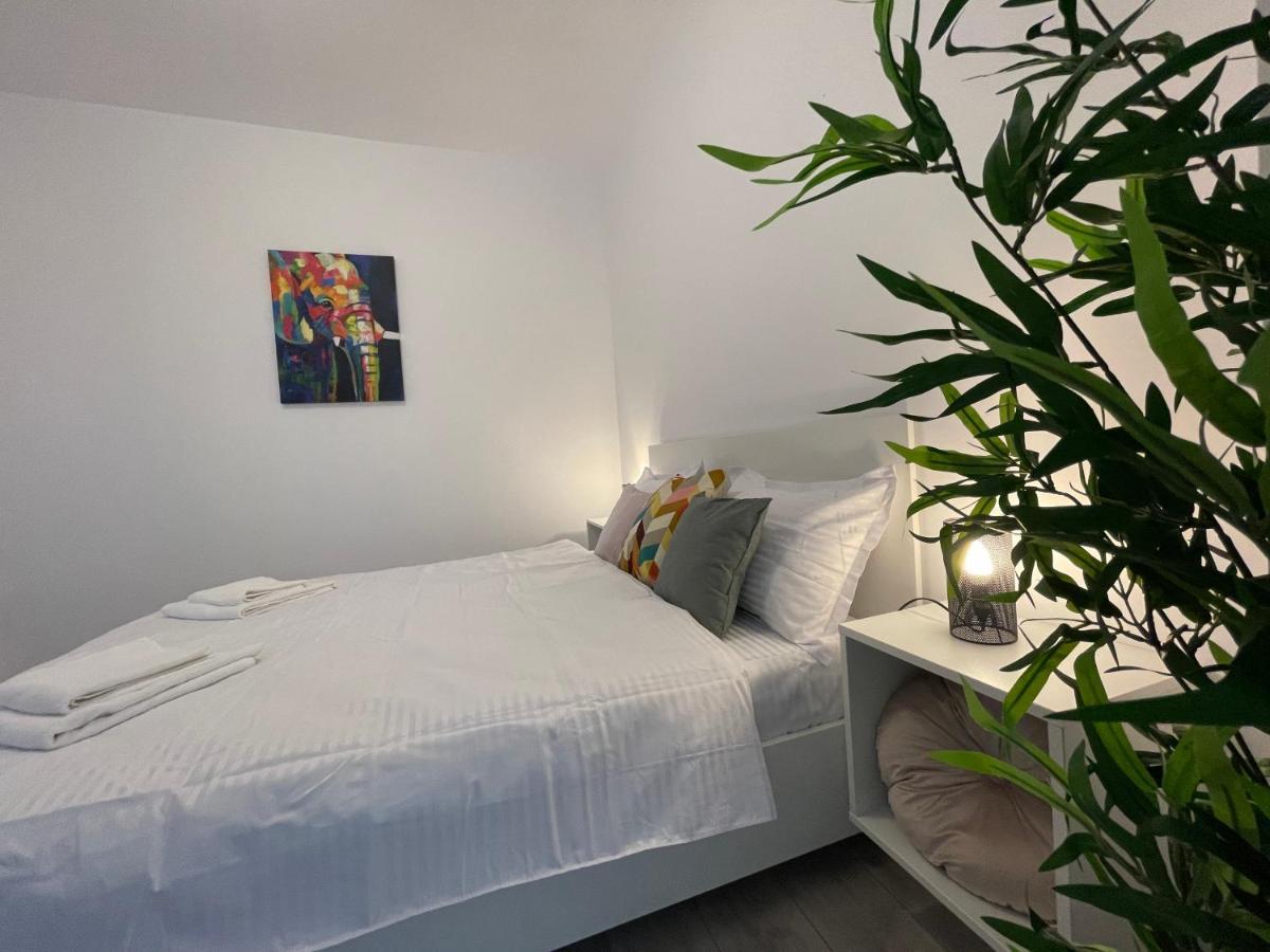 Luxury Apartment Iasi Esterno foto